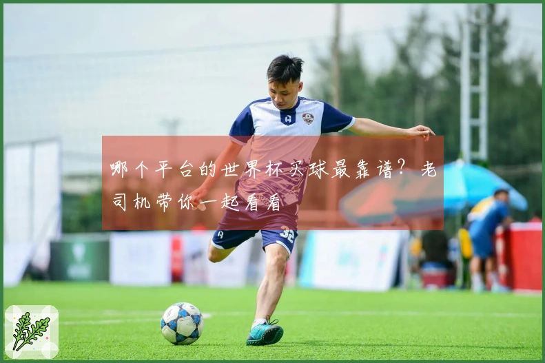 哪个平台的世界杯买球最靠谱？老司机带你一起看看