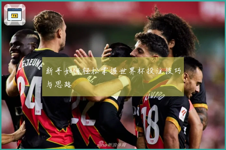新手如何轻松掌握世界杯投注技巧与思路