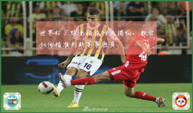 世界杯买球竞猜技巧大揭秘，教你如何精准判断赛事胜负