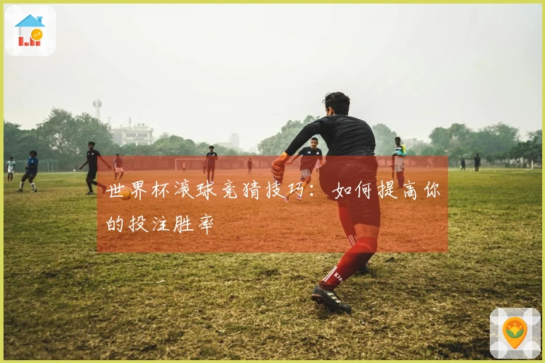 世界杯滚球竞猜技巧：如何提高你的投注胜率